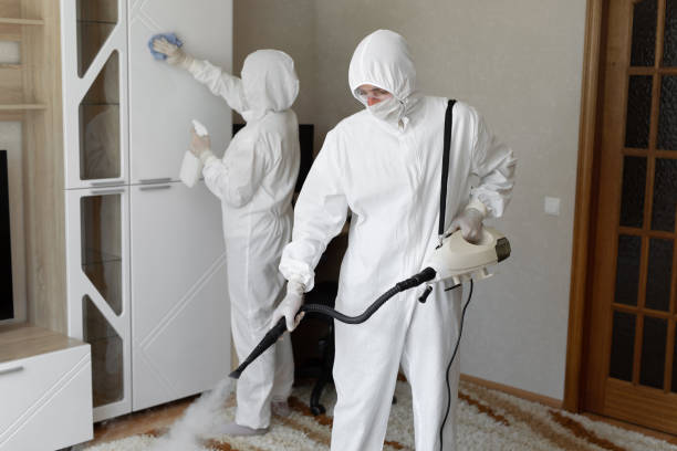 Biohazard Mold Removal in North College Hill, OH